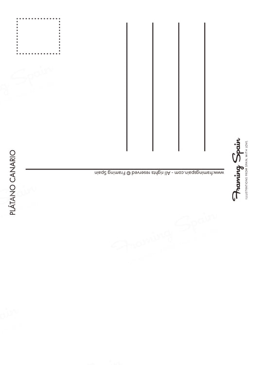 Plátano - Postcard