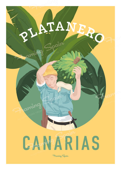 Platanero - Postcard